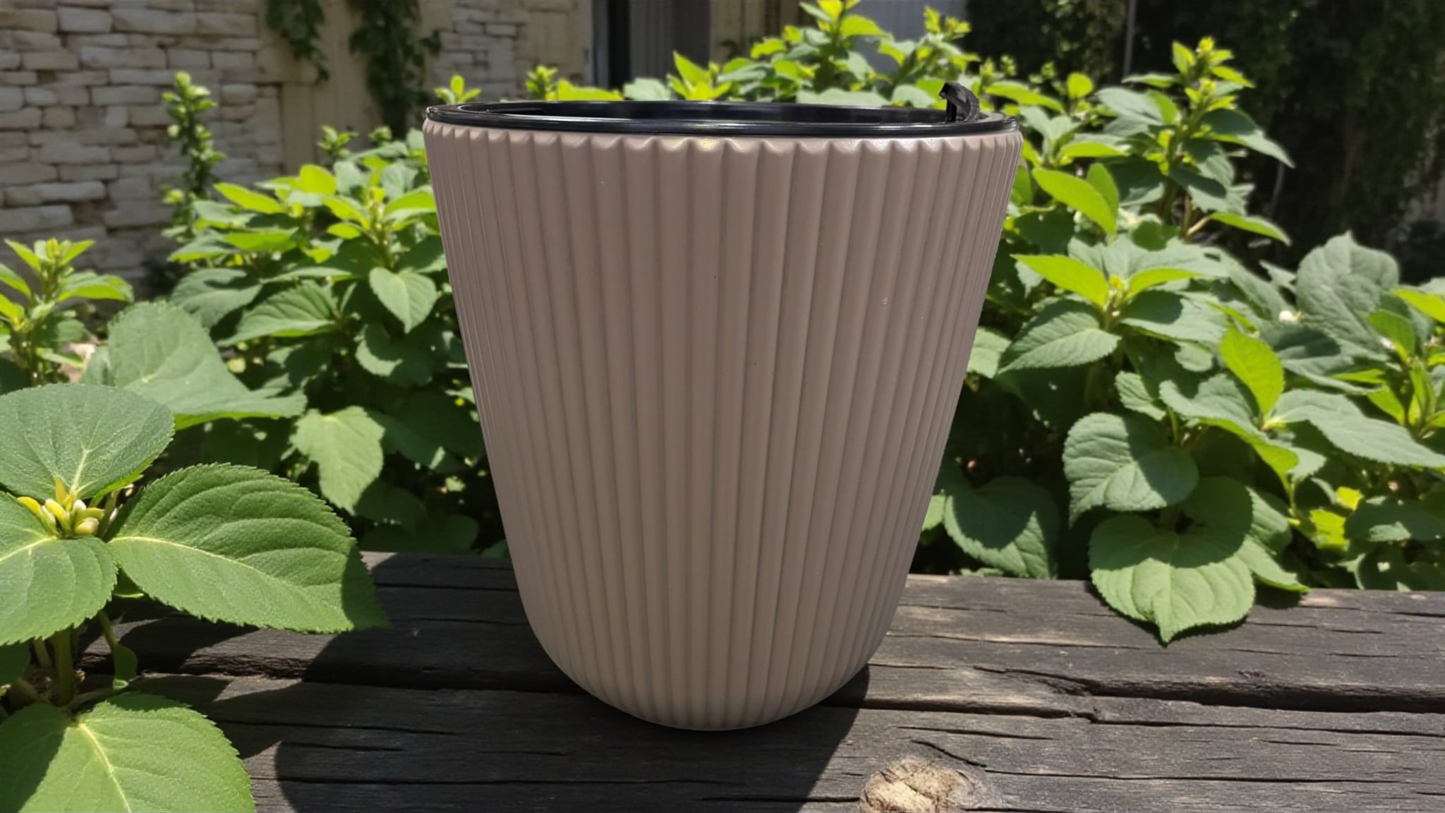 Saksija Đina Ø35 cm sa uloškom - Image 3