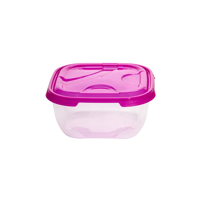 Frigo 4L - Image 1